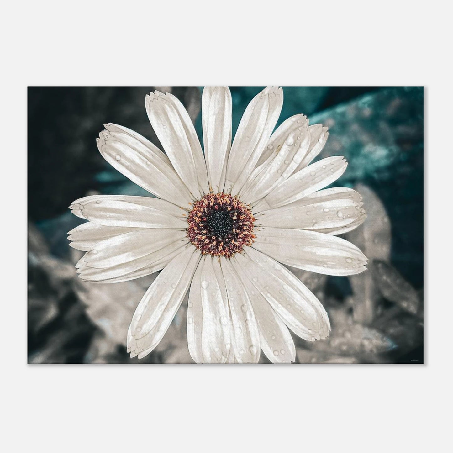 a60fa5e1-e177-4747-b9dc-0734c725c5c9