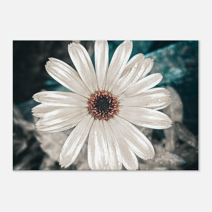 a60fa5e1-e177-4747-b9dc-0734c725c5c9