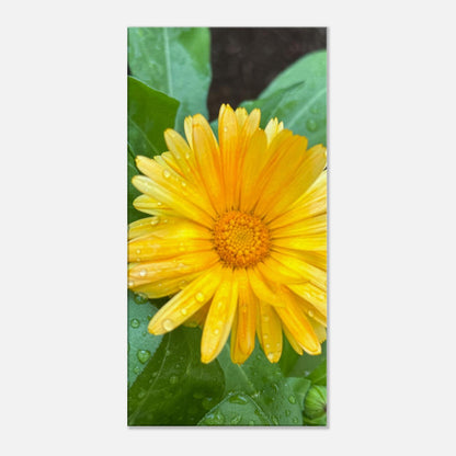 a611c26d-d653-4d67-93ce-5a00642a7ed3