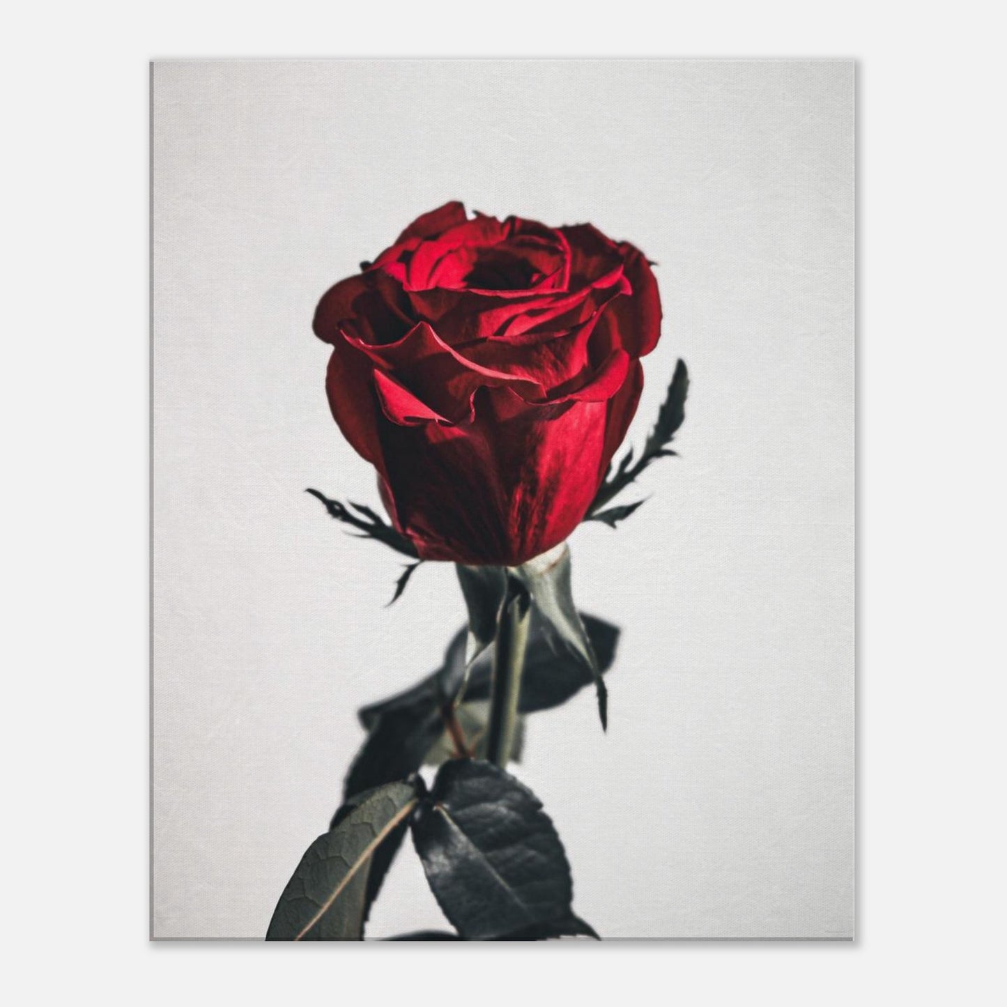 a612598a-dbee-44fd-bde1-ff51fdf8ad4e