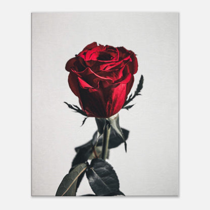 a612598a-dbee-44fd-bde1-ff51fdf8ad4e