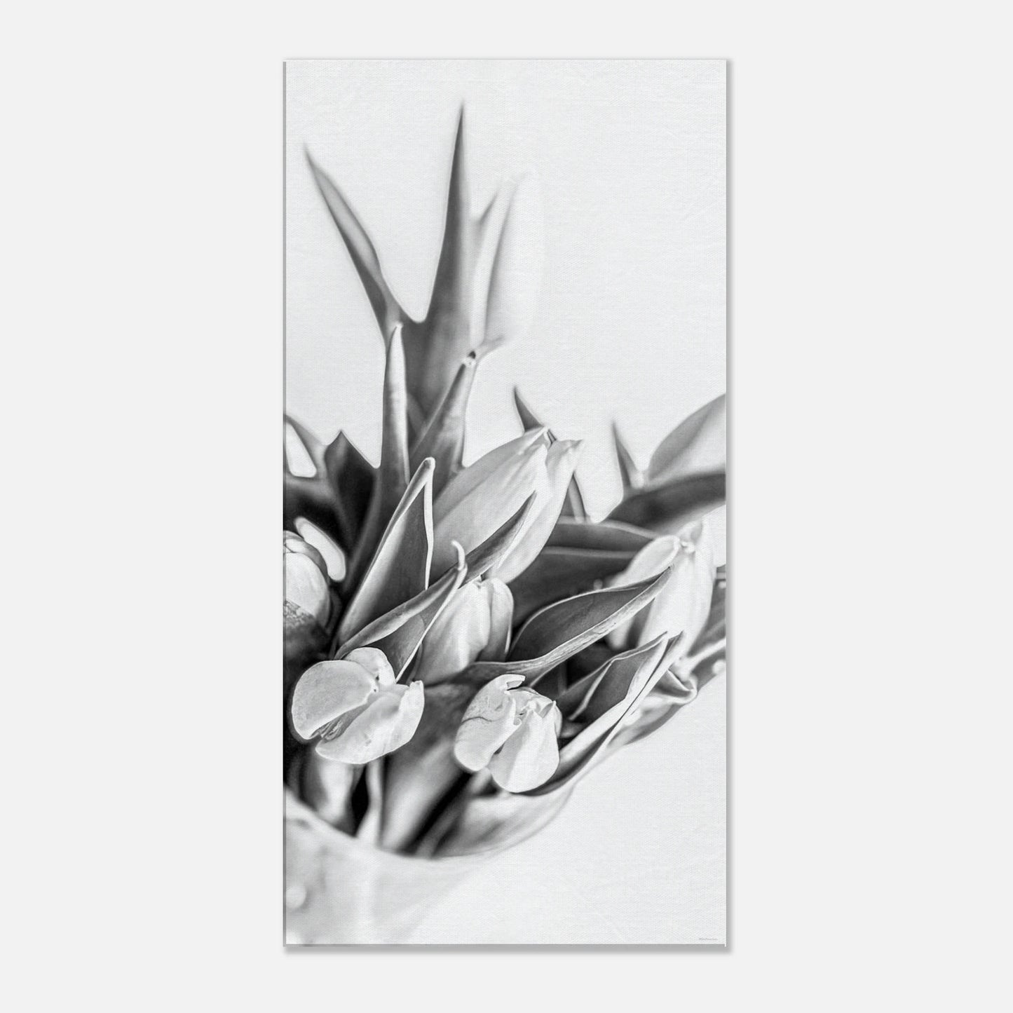 a62efab5-b00c-47e0-b137-38000beb7eab