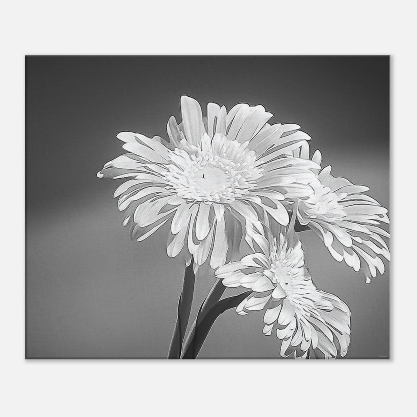 a6359ba7-ae30-48cf-8523-ae69edcf53b5