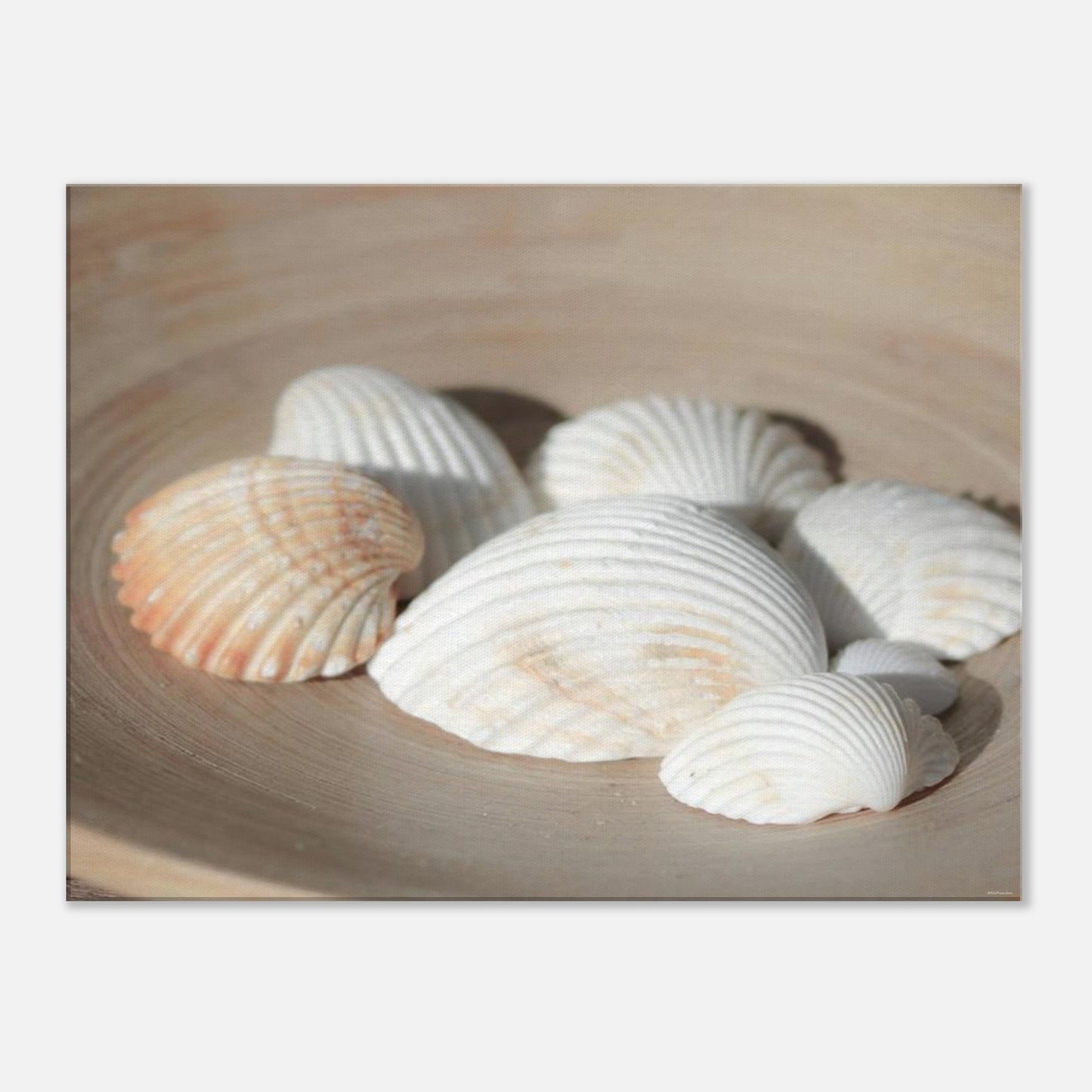 a63e0fdf-31f4-4c13-82a3-2e2882772eba