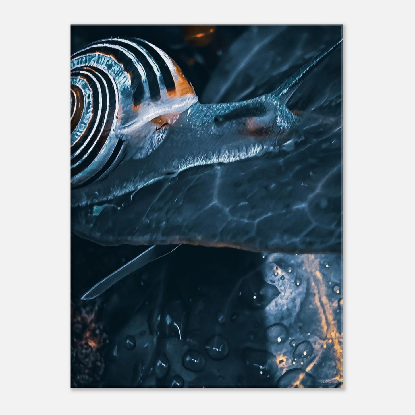 a65dca38-632d-4c4c-963b-5a105264b542