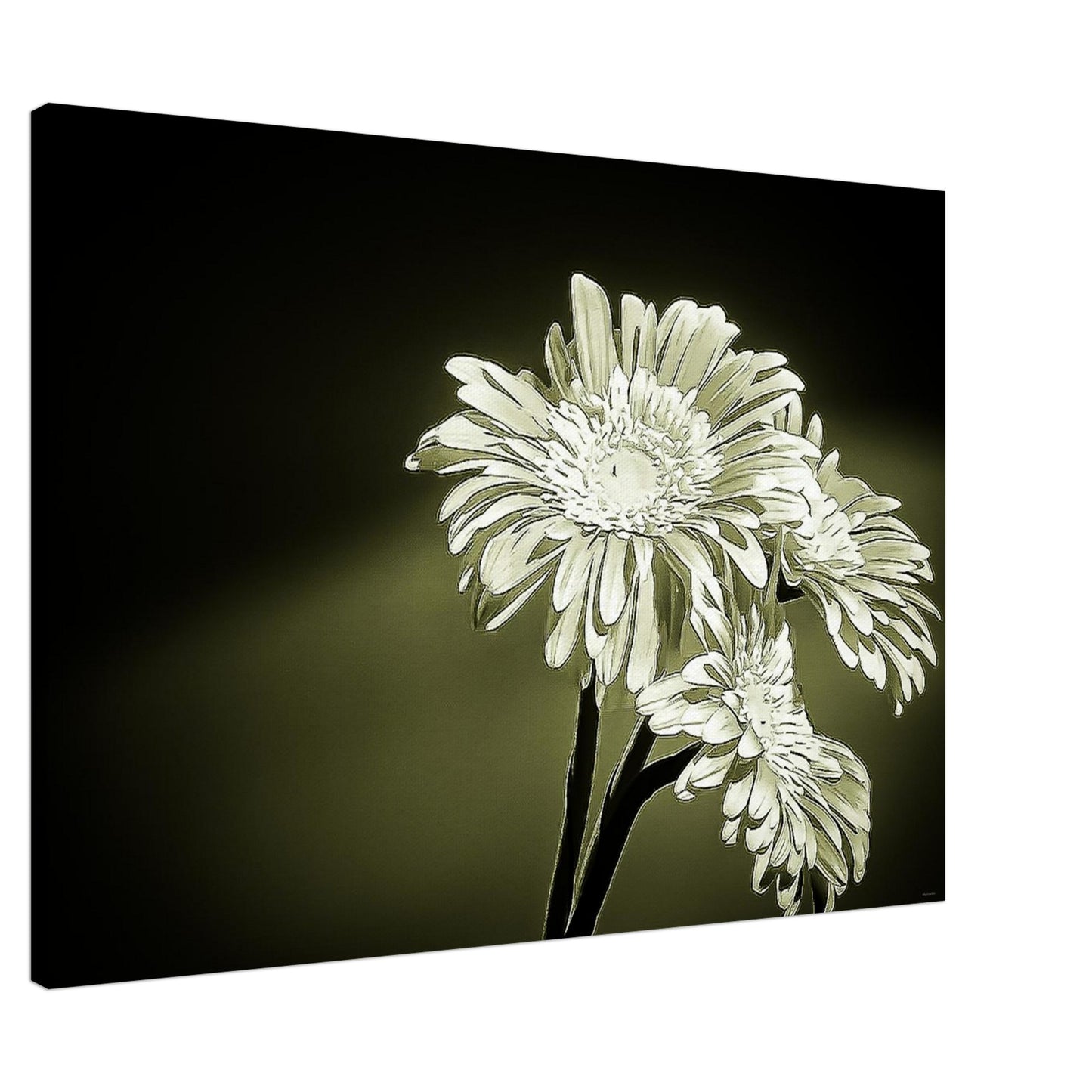 a662b8e7-4d71-4d3e-ba59-ebd4b6ed3a02