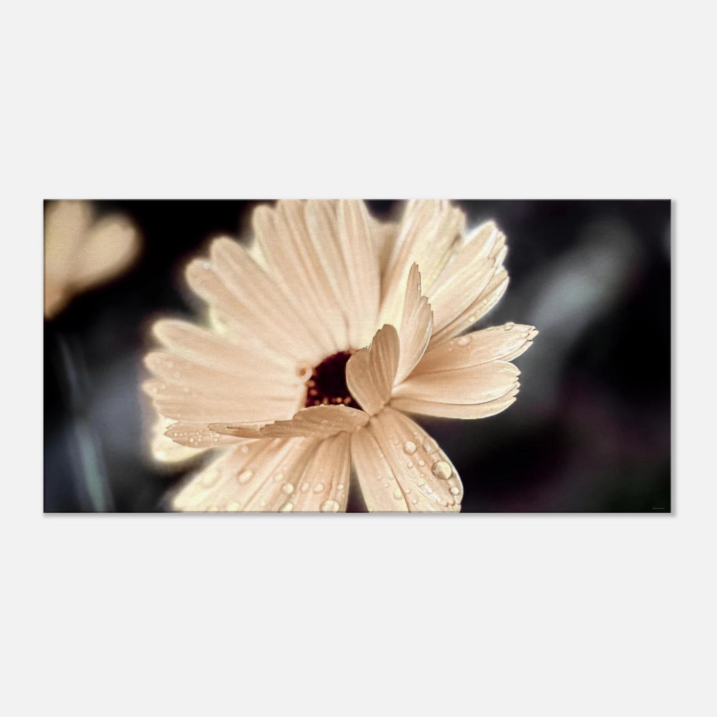 a6a66492-3d4b-4bf8-8553-5ae7b97aad0c