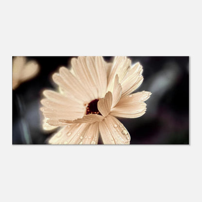 a6a66492-3d4b-4bf8-8553-5ae7b97aad0c