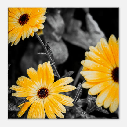 a6ae6de5-134d-465b-b8f1-dd1e68c3d85e