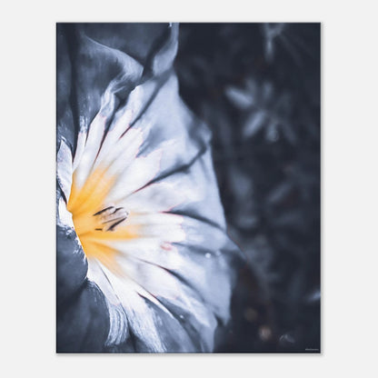 a6b0aa4b-5579-4e72-a313-398113d54fa2