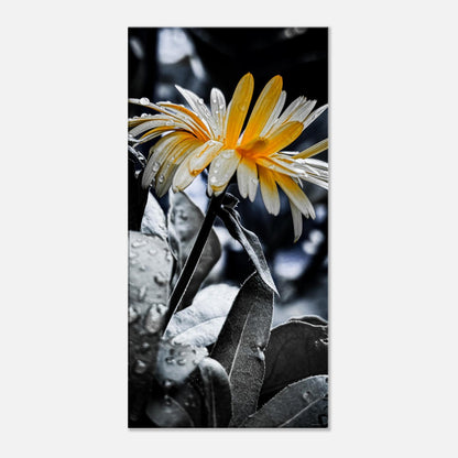 a6b85d14-454e-424d-b380-8e94a342585a