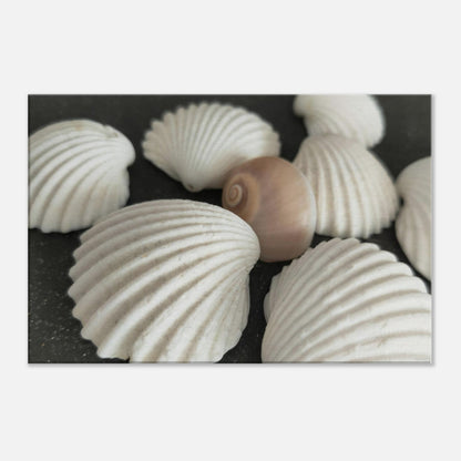 a6f48f84-6540-49fb-bf21-d5010b3bbb35