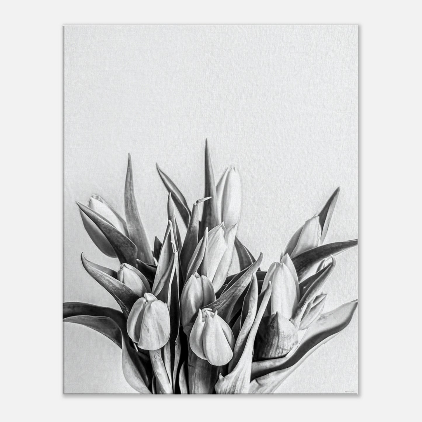 a72941e8-919d-46bc-a890-db47a9e3f589