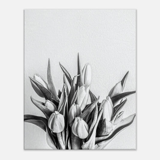 a72941e8-919d-46bc-a890-db47a9e3f589