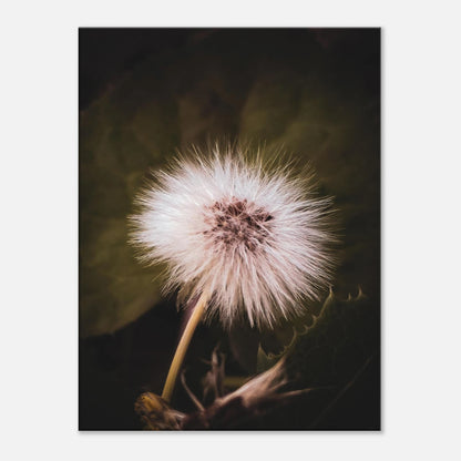 a738ee22-fe3f-41f3-b28b-662143ab34ca