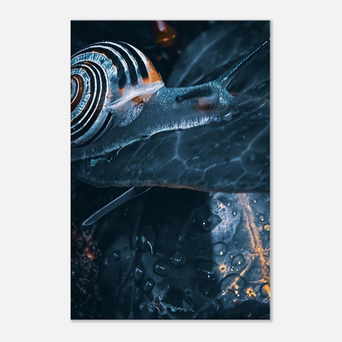 a7762023-211f-4de7-8344-6204dae3129b