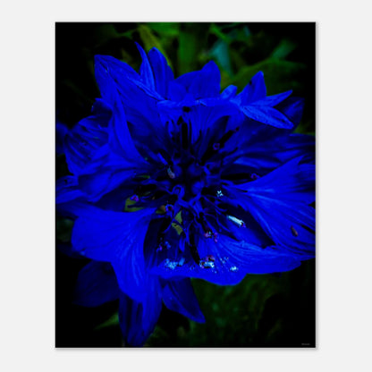 a77aec6c-1352-4117-b3c9-259f6e7b389d