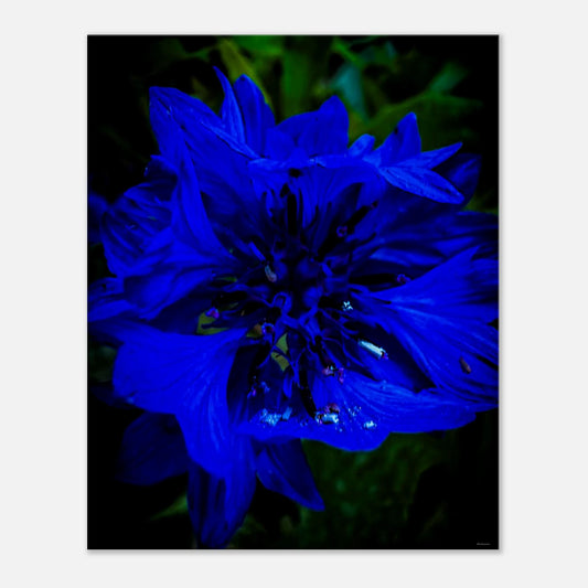 a77aec6c-1352-4117-b3c9-259f6e7b389d