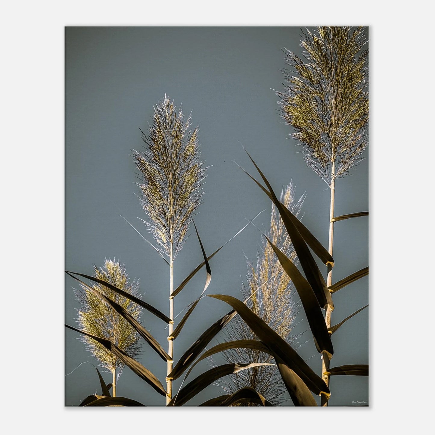 a793037a-f41e-4fb1-8570-ec1fbbac35cf