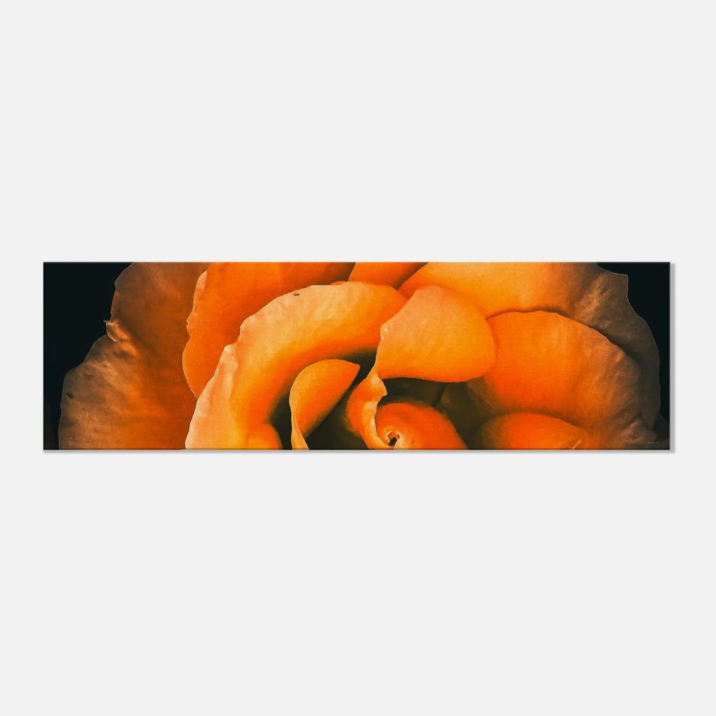 a7c40899-c671-474a-a44c-8a0704626978