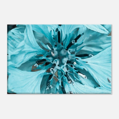 a7d16fda-4a78-417a-aef8-716cae1f88a4