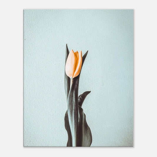 a7d84155-30fc-406c-ab27-1955005fbc23