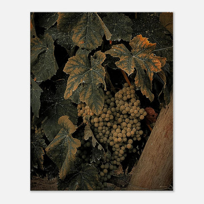 a7f06529-8128-434c-b15e-8eed641a4c65