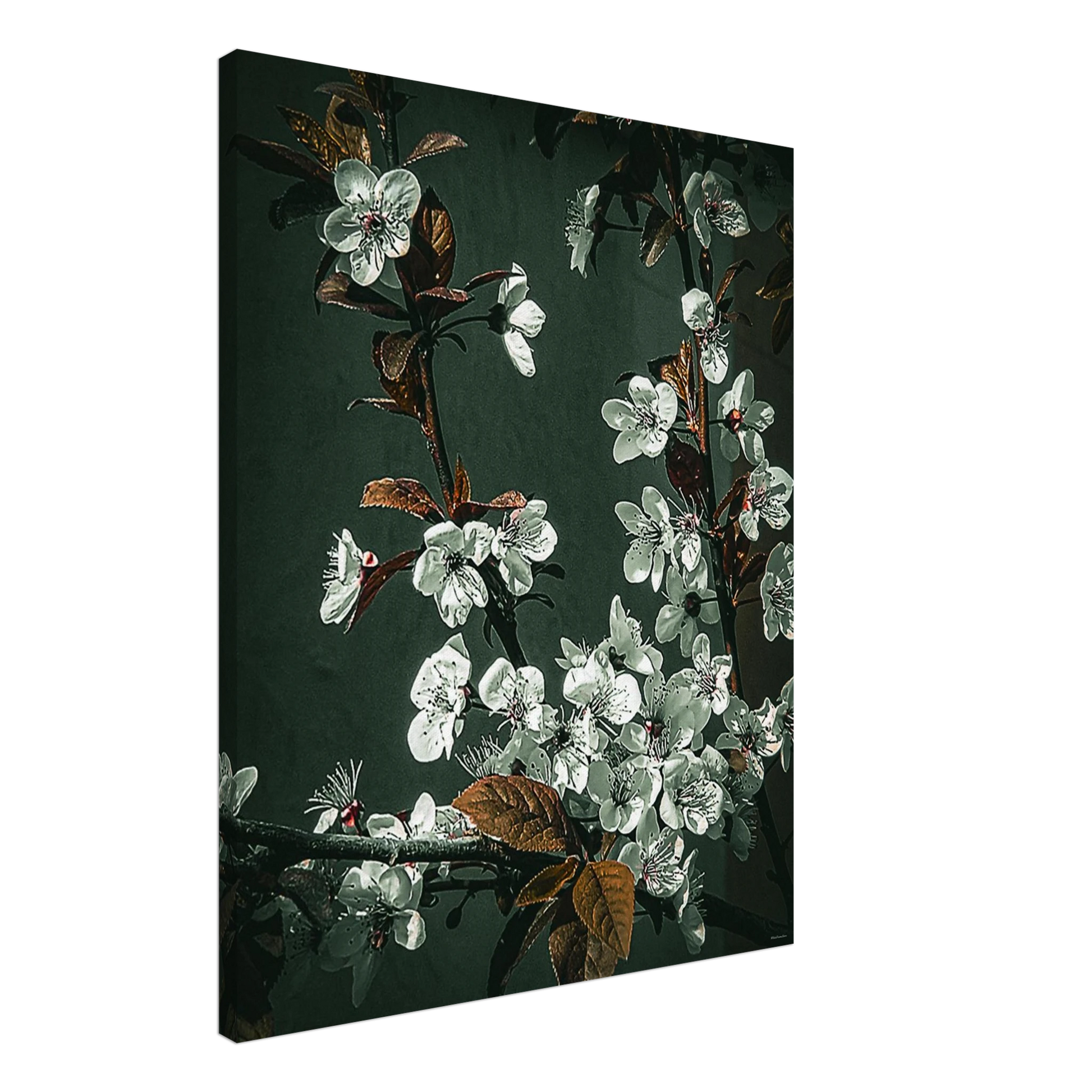 a7f8ba3b-117c-4b2a-b9b4-ddaa1c2e3d2d