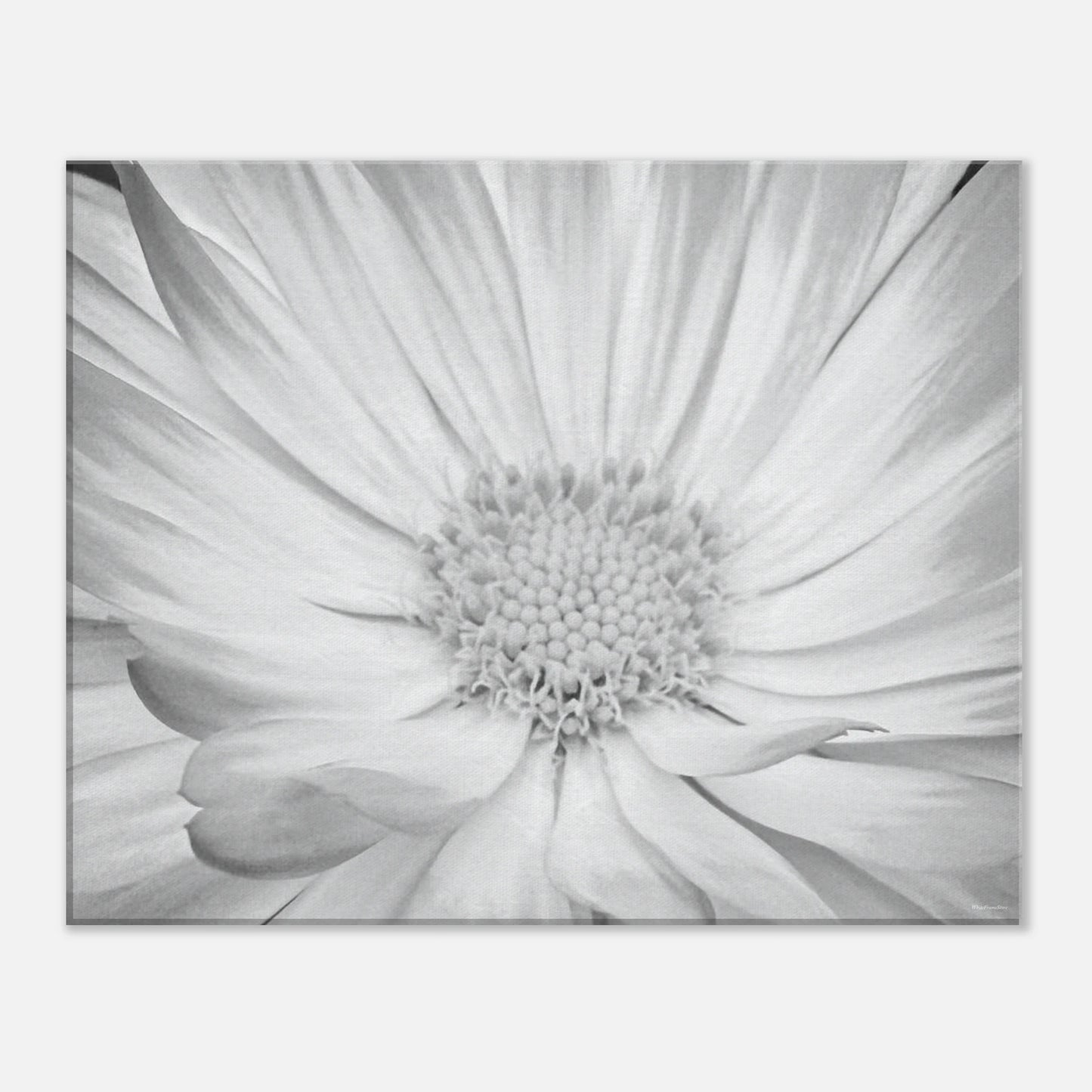 a82a0470-b0a3-4a84-b42a-4b4f83175169