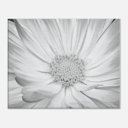 a82a0470-b0a3-4a84-b42a-4b4f83175169