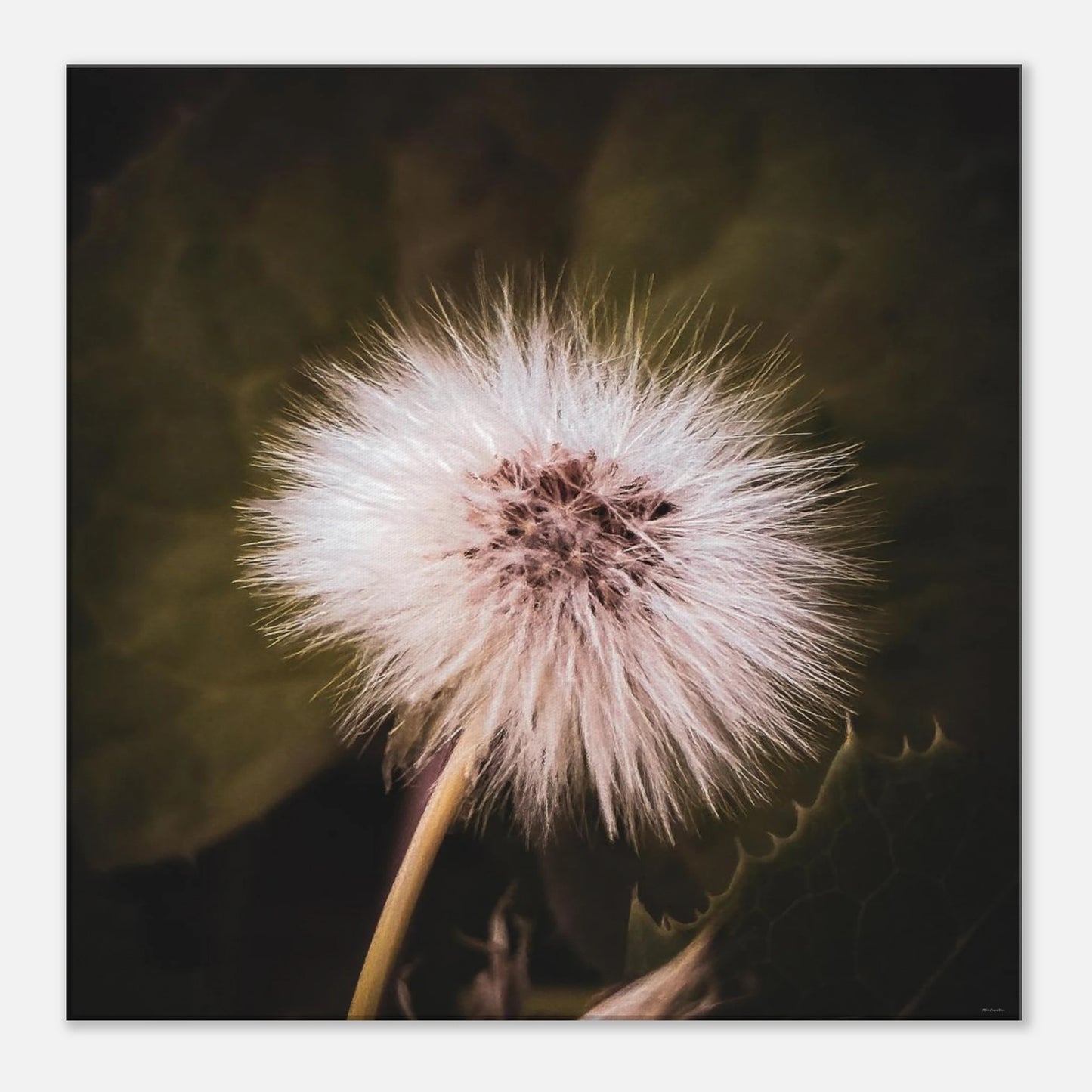 a8398cc9-d454-41b4-94a3-5b7dd7d1333e