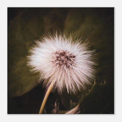 a8398cc9-d454-41b4-94a3-5b7dd7d1333e