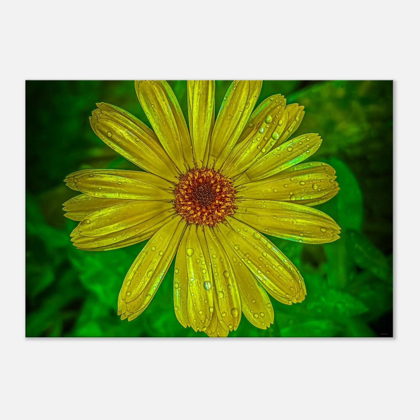 a87c8d88-2f45-4f07-9fd7-a1d2b2cc085b