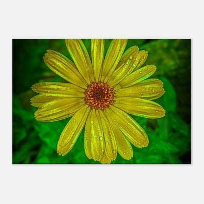 a87c8d88-2f45-4f07-9fd7-a1d2b2cc085b