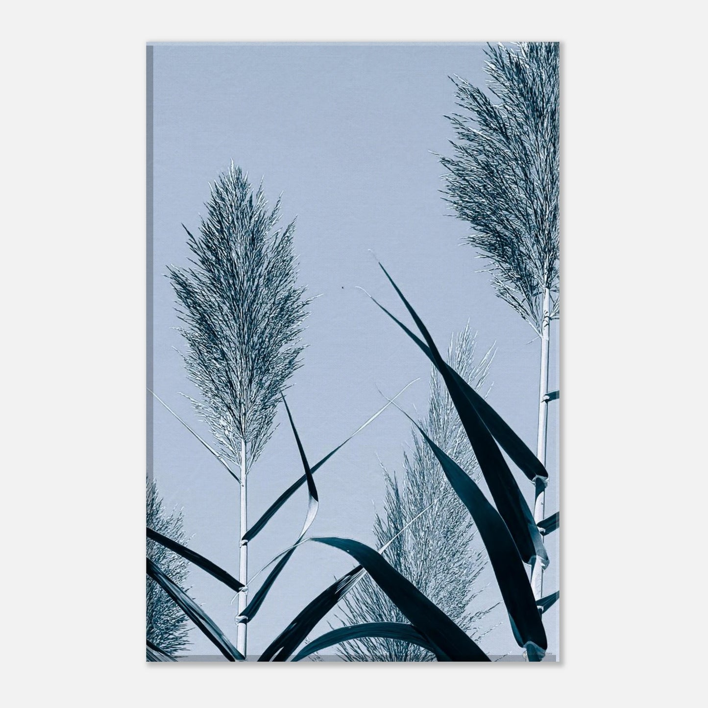 a8ba3099-8cac-4900-95ab-d580bdad5472