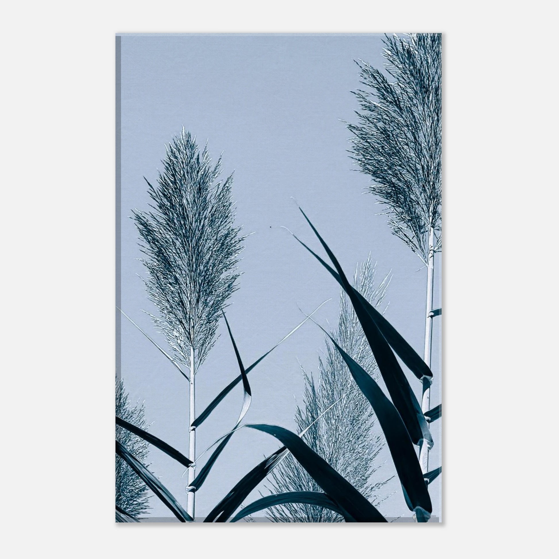 a8ba3099-8cac-4900-95ab-d580bdad5472