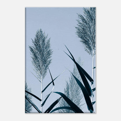 a8ba3099-8cac-4900-95ab-d580bdad5472