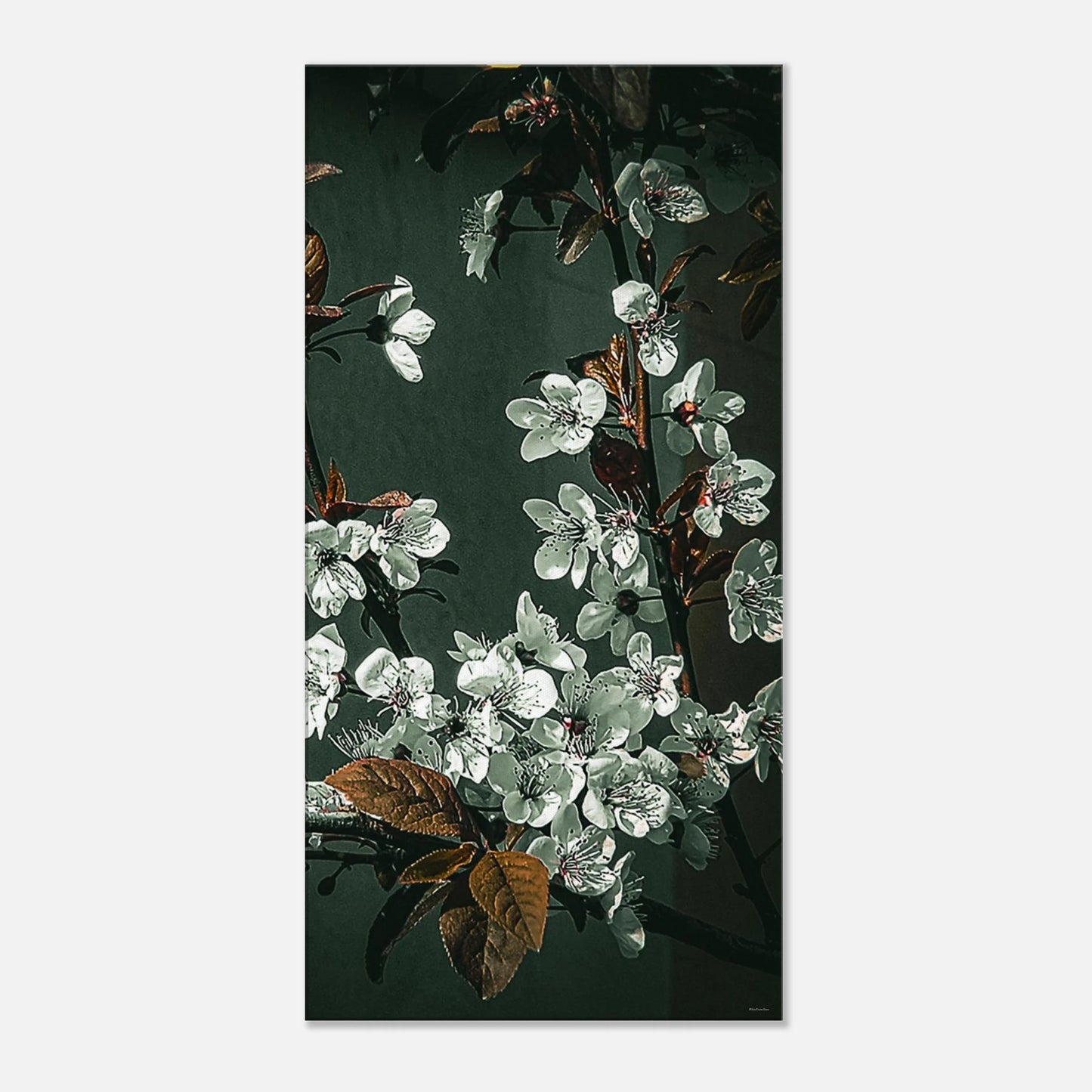 a8c25880-e869-4d9a-87e8-e82ea8d4f5d6