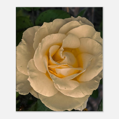 a8d3ed42-91f6-4ef0-a9fd-14ad3580ee28