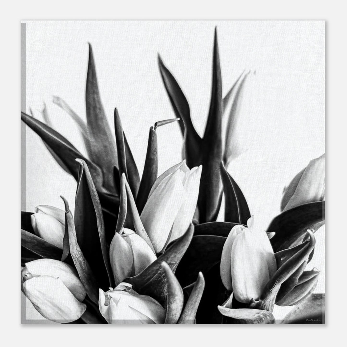 a8dfc78a-11dd-4f01-9101-970be8a2c878