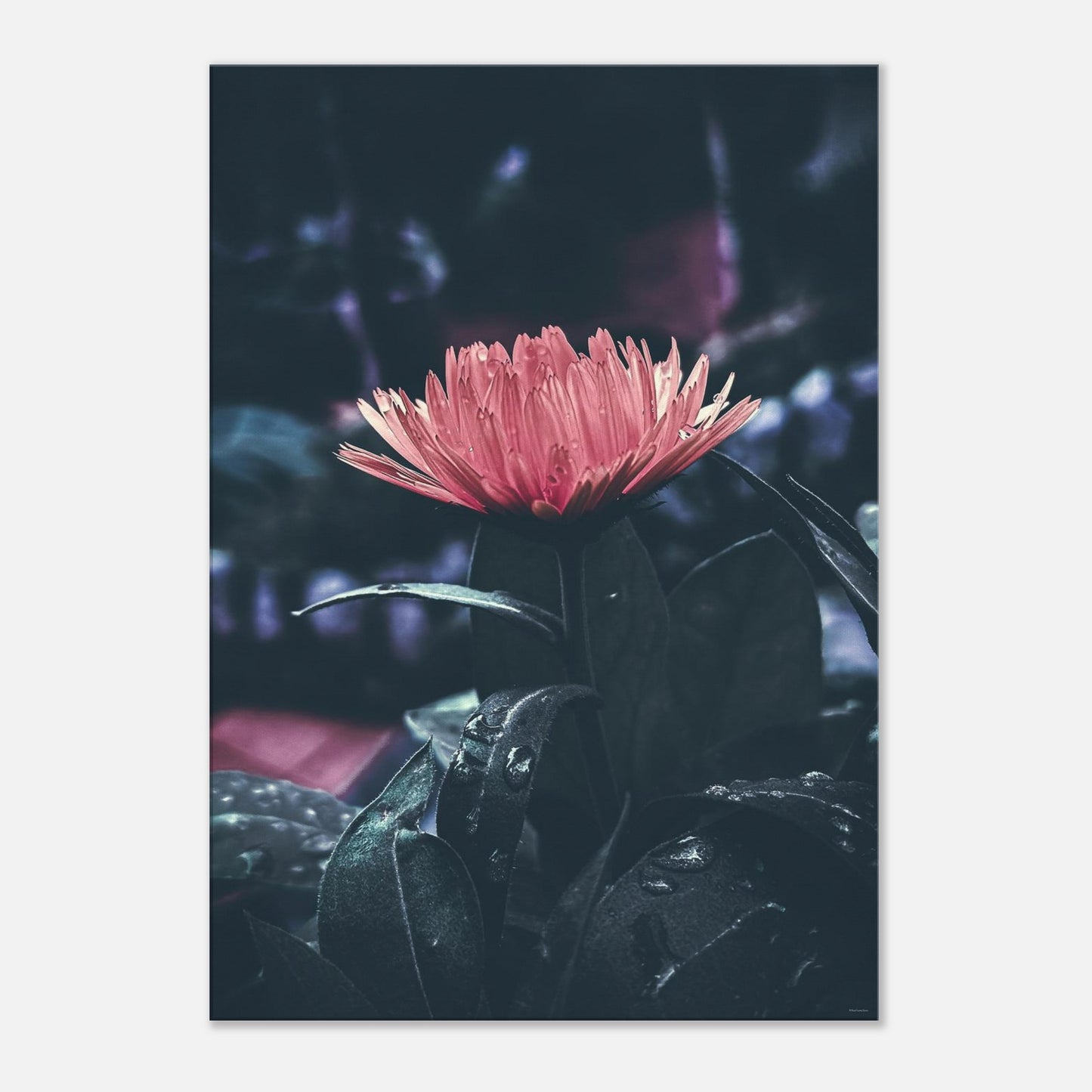 a8fc047a-a8ec-4546-ac0a-3b0edc1ec86d