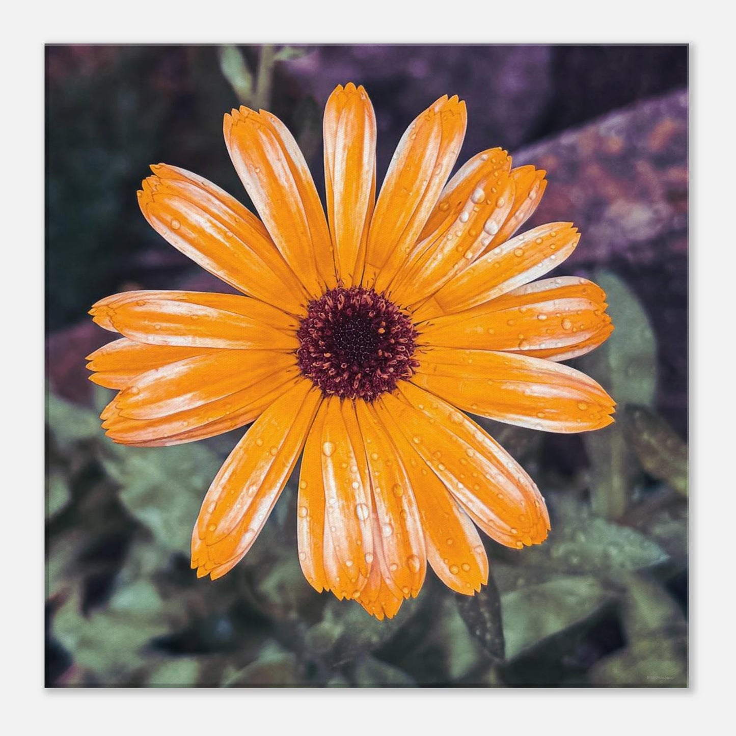 a904ad70-e945-4aec-a340-cd337fd9634a