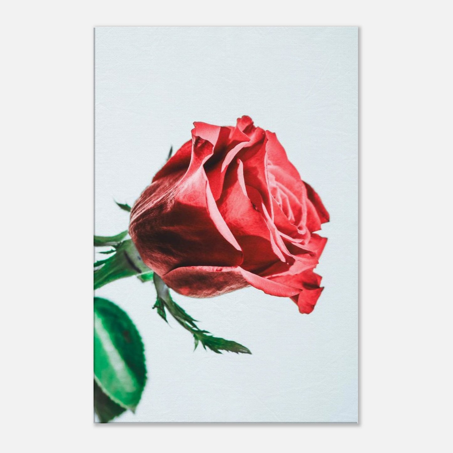 a9370199-4c67-45c7-a3b4-ad21773f5e96