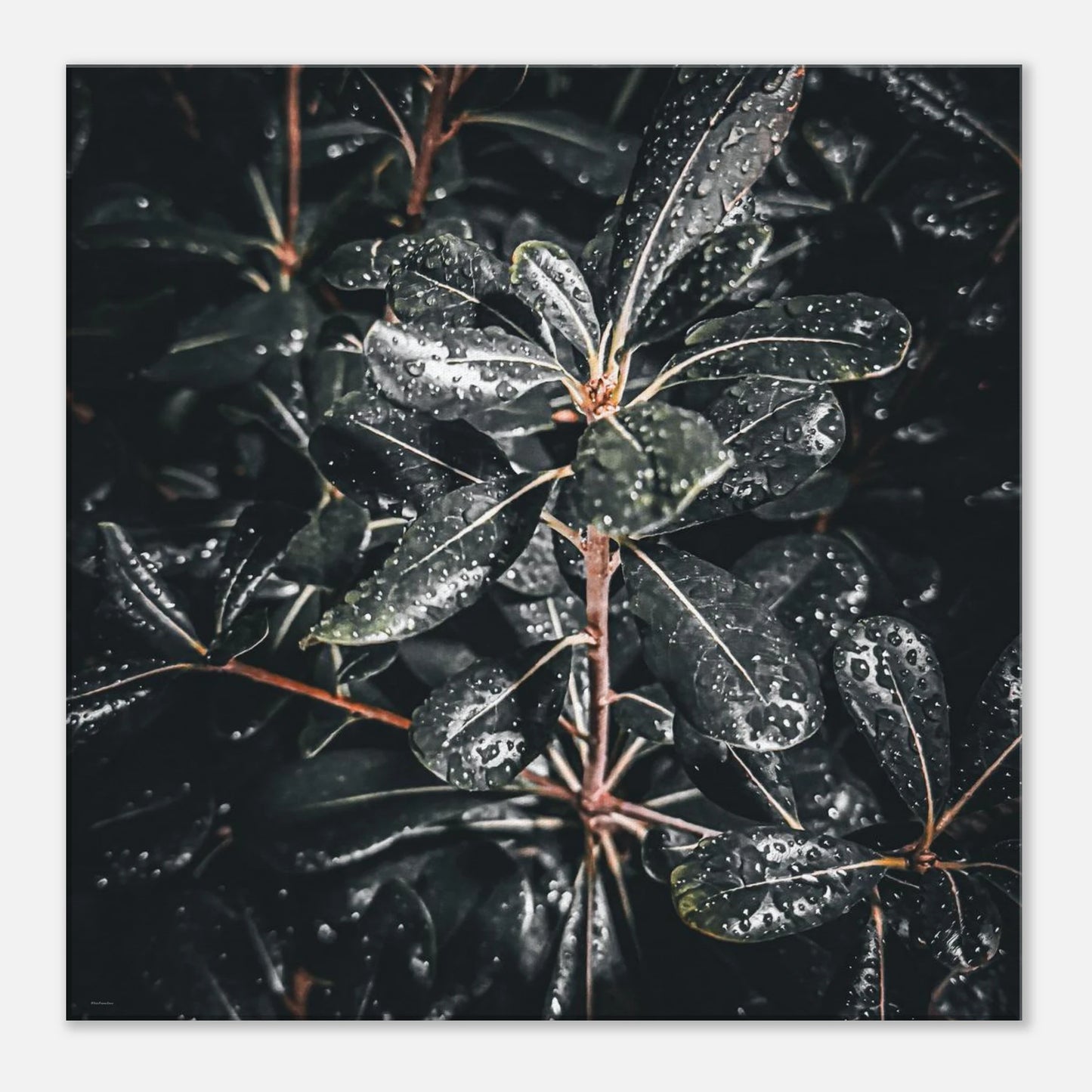 a94aa02b-bd6b-4b33-91bc-7bfd18fcc24b