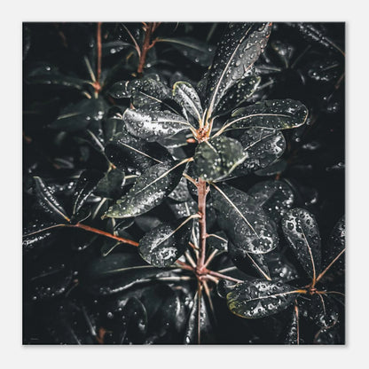 a94aa02b-bd6b-4b33-91bc-7bfd18fcc24b