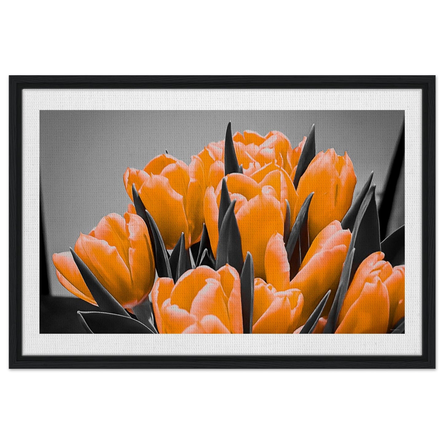 a9670cdd-2ec7-4c4a-aeea-185f0c4faa0a