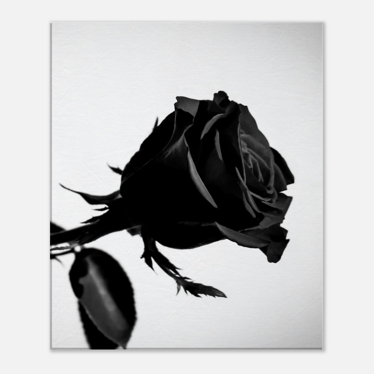 a9bd0b4f-c015-4d78-bc53-fb7235da99ab