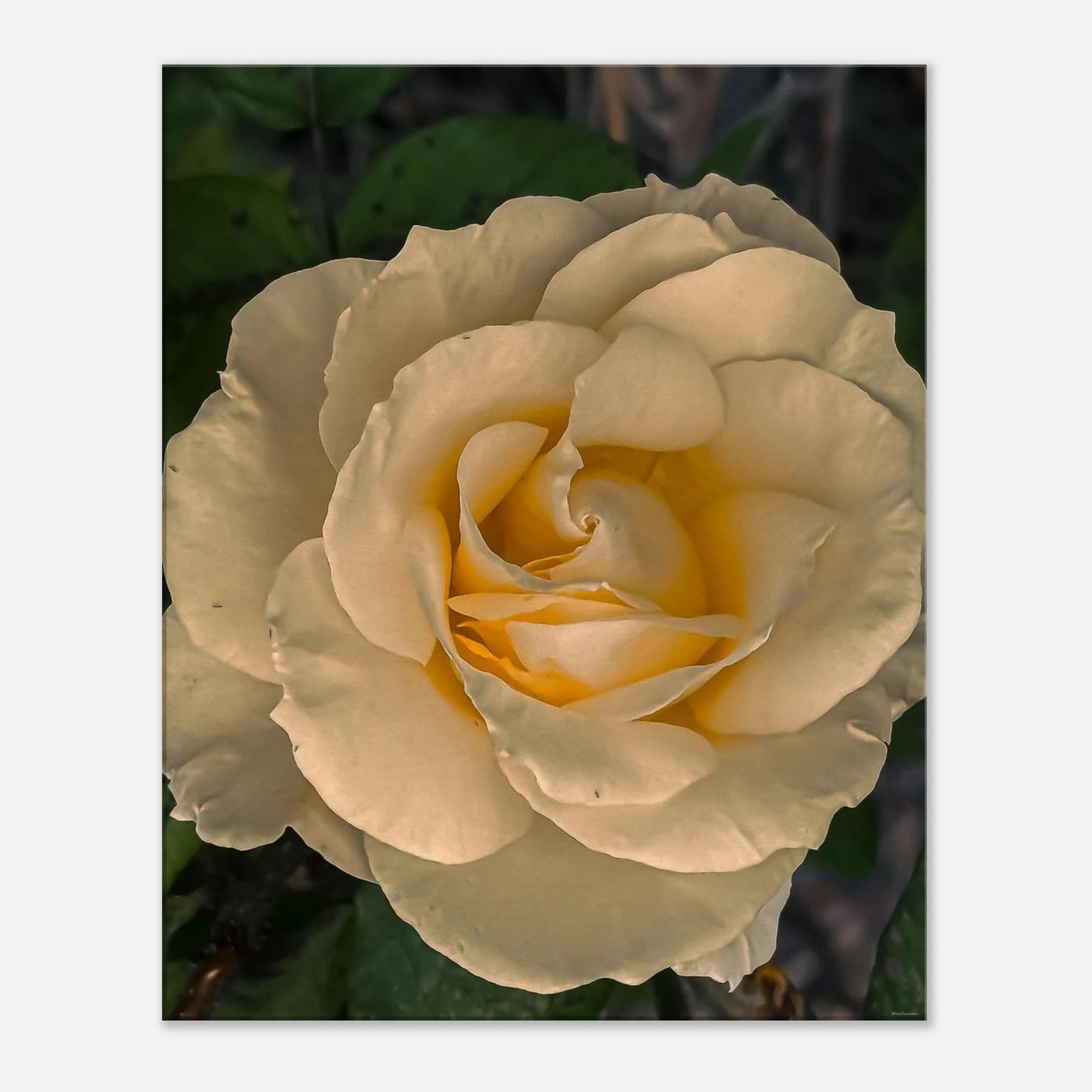 a9d6c00b-b820-4604-95e2-f12718ff8f74