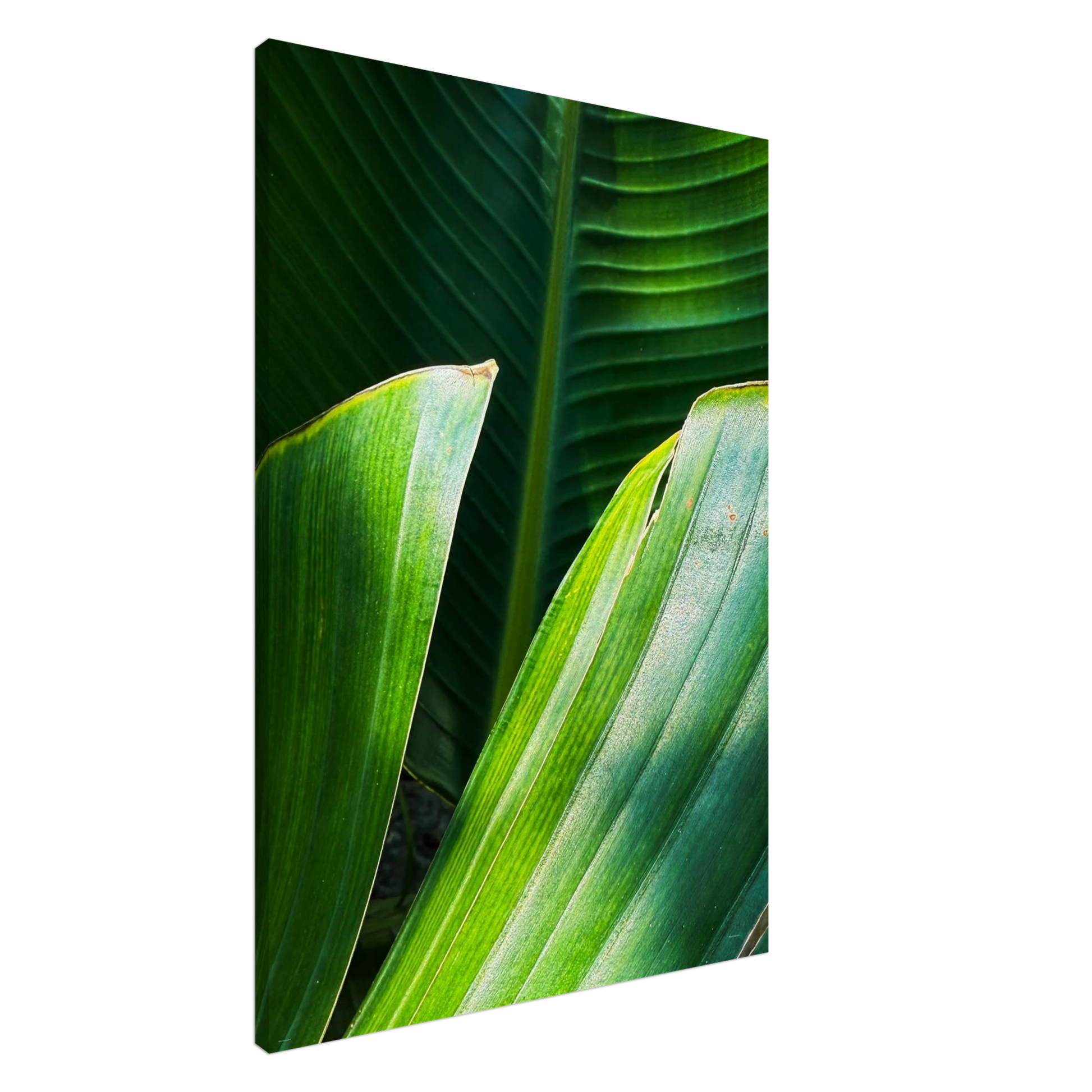 aa0910ee-12a1-48c0-a1ff-8c4f77ed4561