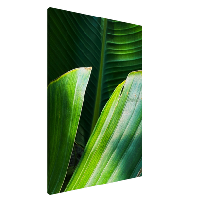 aa0910ee-12a1-48c0-a1ff-8c4f77ed4561